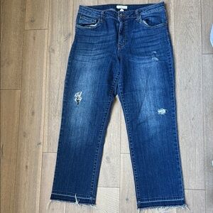 Sun & Shadow Released Raw Hem Cropped Distressed Jeans